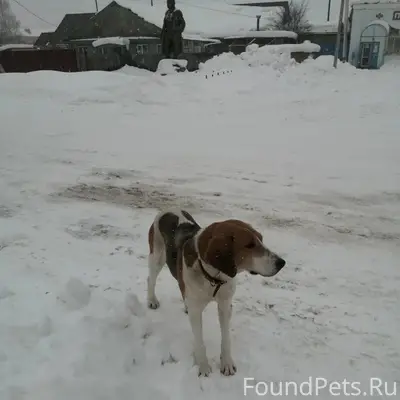 В Натальинске с ноября ходит р...