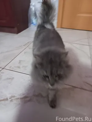 Бугуруслан. Здравствуйте!! На ...