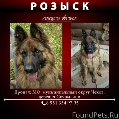 ‼️‼️Поиски продолжаются ‼️‼️ П...