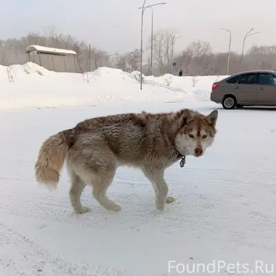 Срочно! Ищем старых или новых ...