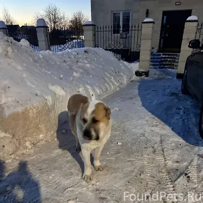 Друзья!! Будем благодарны за л...