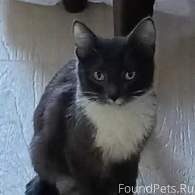 В сильные морозы на улице был....