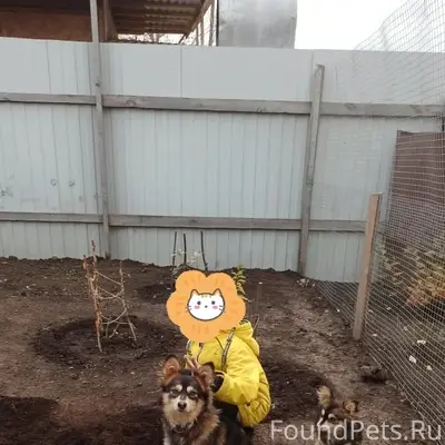 Добрый день! Потерялся вот так...