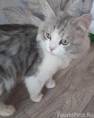 🚨В районе ЖД вокзала был найде...