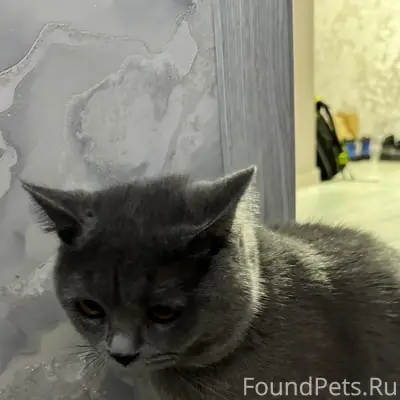 Опубликуйте, пожалуйста! Найде...