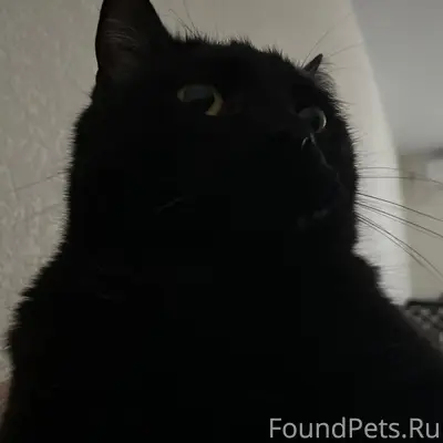 Здравствуйте! на лесунова проп...