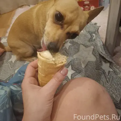 Помогаем информационно📣 Пропал...