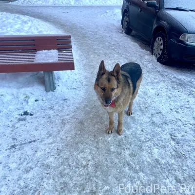 ГАТЧИНА! 🆘🆘🆘 РАЙОН АЭРОДРОМ! З...
