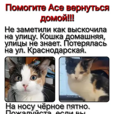 📍ул. Краснодарская, Кировский ...