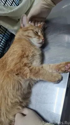 ‼️Внимание, нужна помощь!‼️ НА...