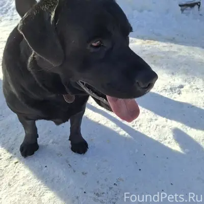Репост, пожалуйста Срочно в но...