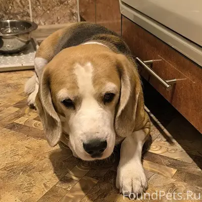 #найдено Здравствуйте! 17 февр...