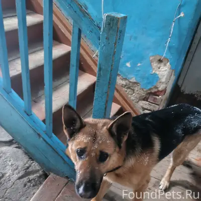 Несколько суток по всему город...