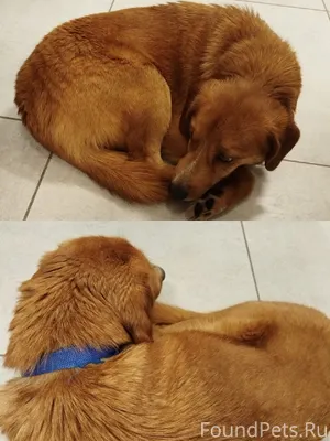 ЧЕЙ ПОТЕРЯШКА❓❓❓Нижняя Салда, ...