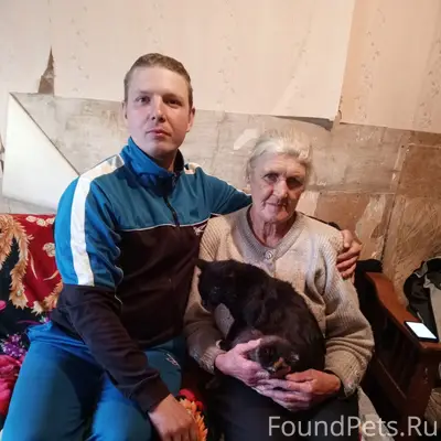 Пропал кот чёрный болешынт ни ...