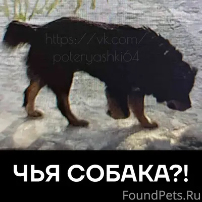 Саратов, Фрунзенский район, Во...