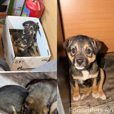 📌Минск и Минская область, аг. ...