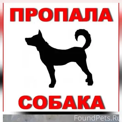 ВНИМАНИЕ!! 3 февраля,в районе ...