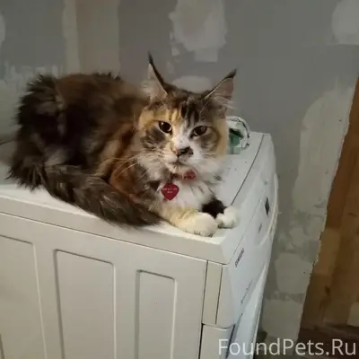 Внимание, нижняя Сулажгора! Ча...