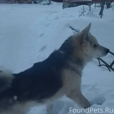 SOS!! У кого из частного секто...