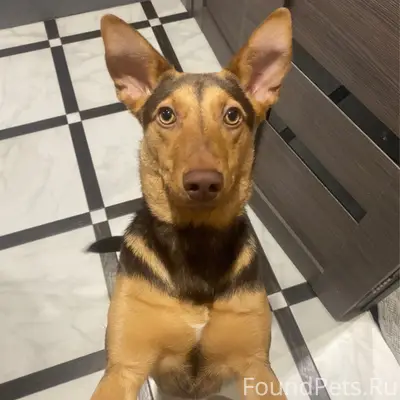 В районе болховского мкр сегод...