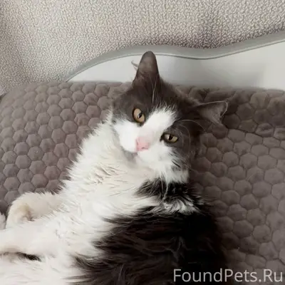 Уважаемые жители с.Махоново пр...