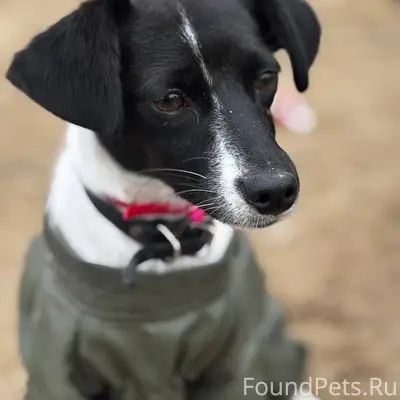 Не теряю надежды найти свою со...