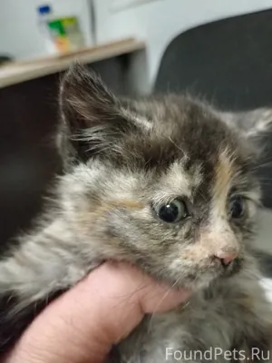 Добрый день. На улице в пакете...