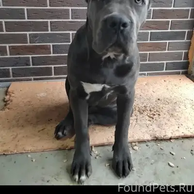 SOS!!! SOS!!! SOS!!! Продолжаю...