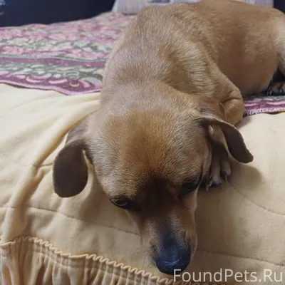 Всем доброго дня, была найдена...