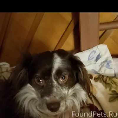 Ребята!Нужны репосты!Вчера в р...