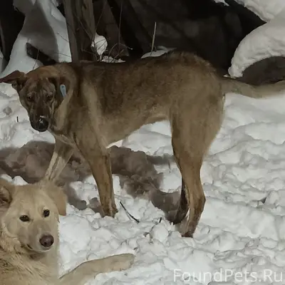 Воронеж, Железнодорожный район...