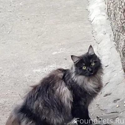 Может быть у кого-то есть...