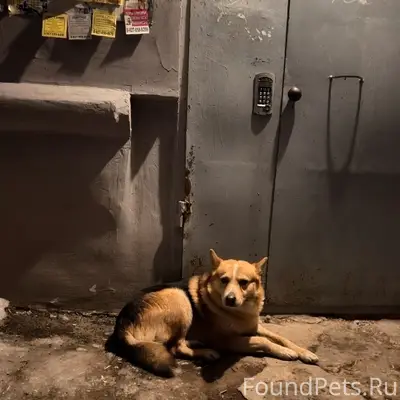 Девочки , в Чапаевске появился...