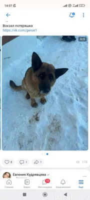 Уфа и вся Башкирия! 🆘️🆘️ В...