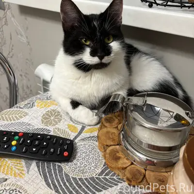 Сегодня, 12.02 со 2-го...