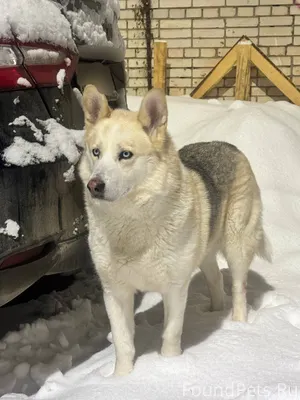 ‼️Во дворе жилого комплекса «Т...