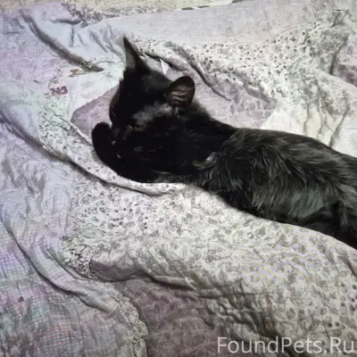 Здравствуйте, на ул Горной про...