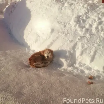 Всем доброго дня. Второй день ...