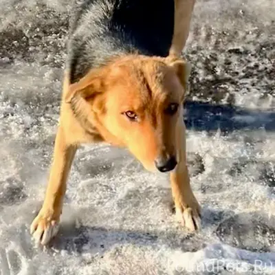 🆘 Помогите найти 🆘 ‼️Продолжаю...