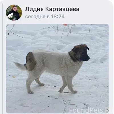 Прошу обратить внимание на инф...