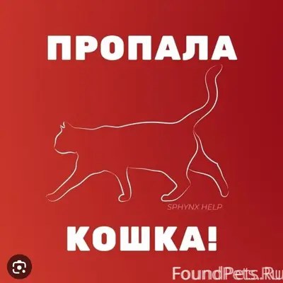 Уфа . SOS! Помогаю информацион...