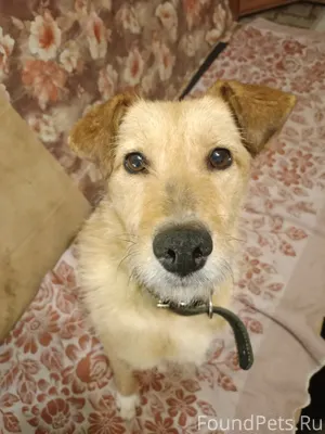 Произошло ЧУДО! Не зря ведь у....