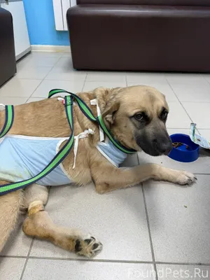 Найды больше нет. Беги за раду...