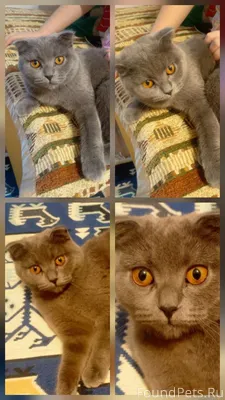 ‼️‼️‼️‼️‼️‼️‼️‼️‼️ Помогаю инф...