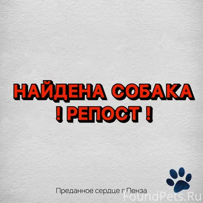 На остановке «Центральный рыно...