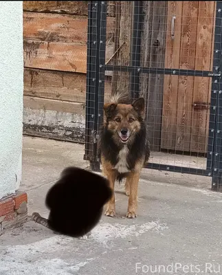 Здравствуйте! Разместите, пожа...