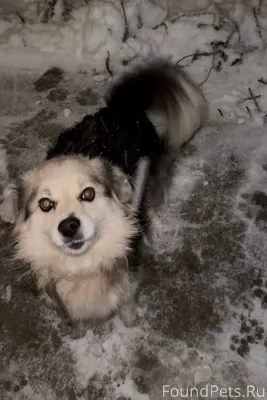 Опубликуйте пожалуйста🙏🏻 Пропа...