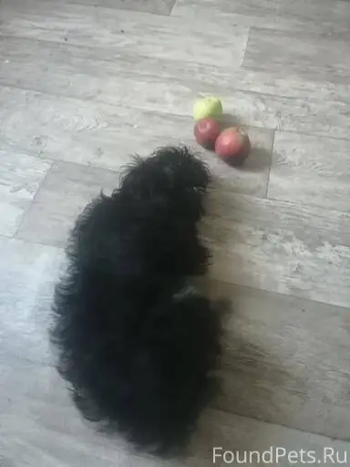 В раене козлов 52 2 недели. 