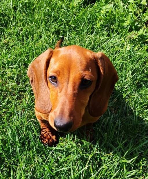 16.09.25 в 16 час...